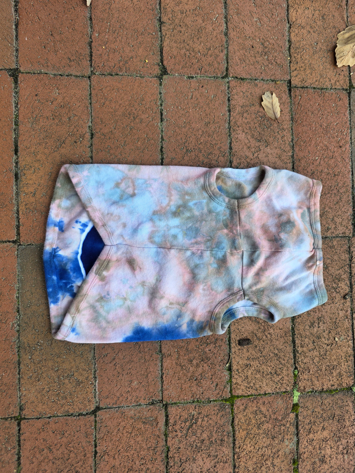 Evil Eye Dog Shirt (labeled xl, fits like a medium)