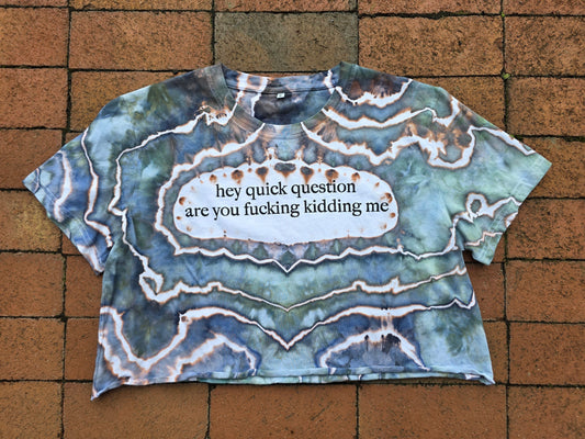 XL F*cking Kidding Crop (fits small)