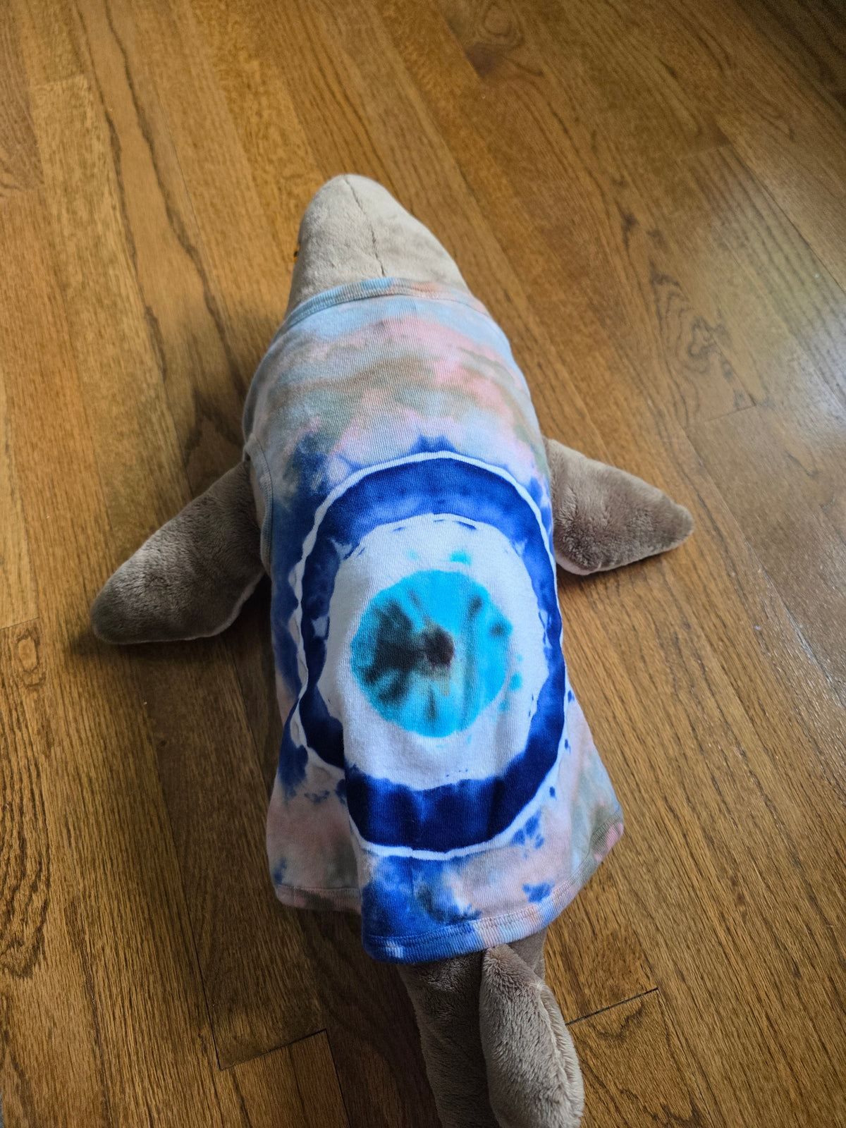 Evil Eye Dog Shirt (labeled xl, fits like a medium)